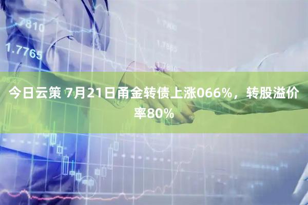 今日云策 7月21日甬金转债上涨066%，转股溢价率80%