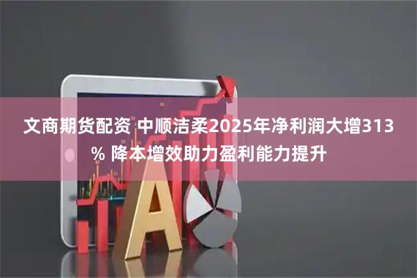 文商期货配资 中顺洁柔2025年净利润大增313% 降本增效助力盈利能力提升